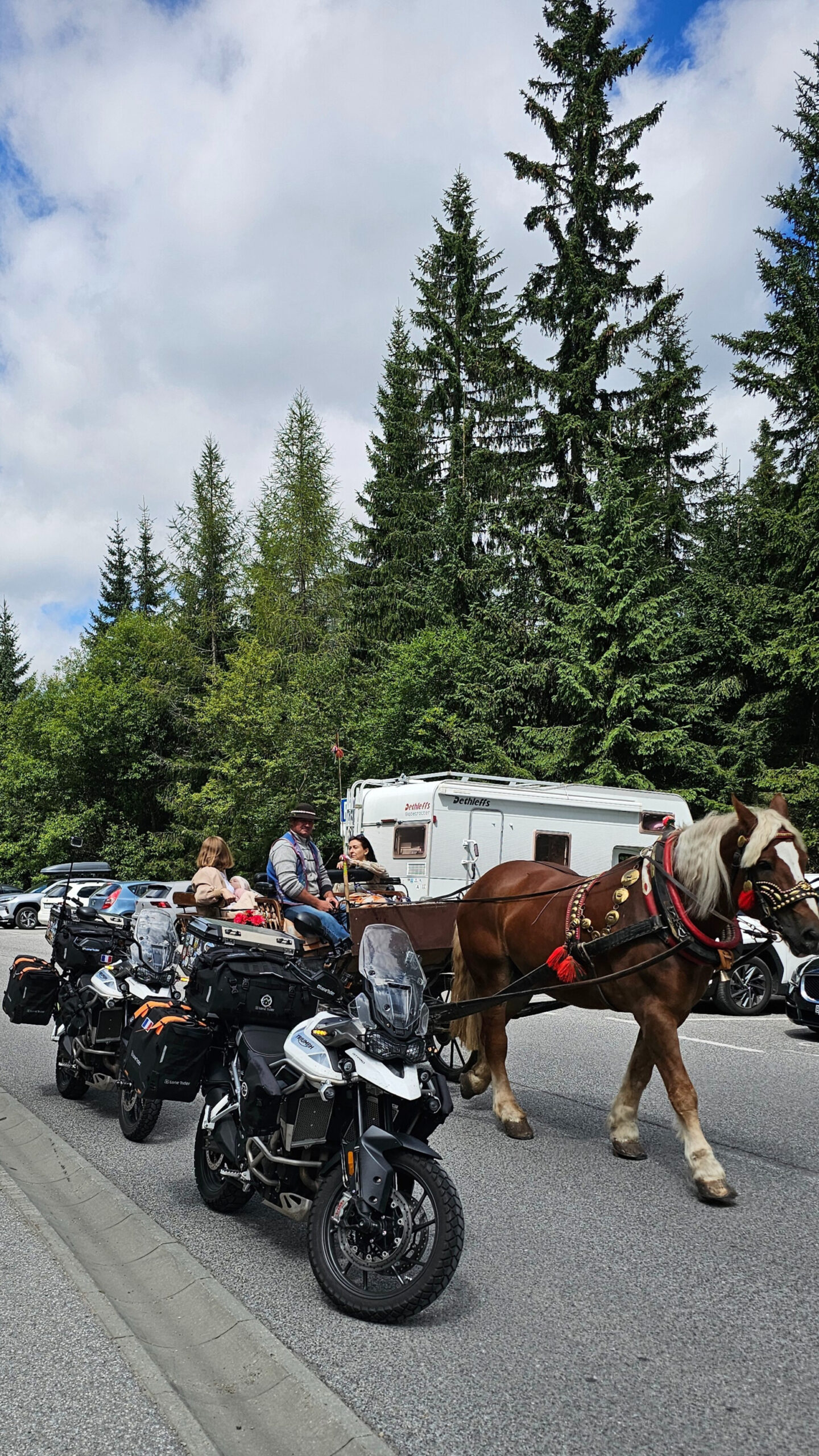 Photo de nos motos Triumph Tiger croisées par une calèche tirée par un cheval dans le parc des Hautes Tatras, en Slovaquie.