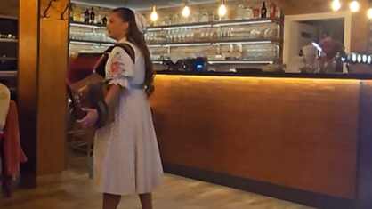 Photo prise dans un restaurant en Slovaquie : une accordéoniste anime un anniversaire avec énergie et bonne humeur.