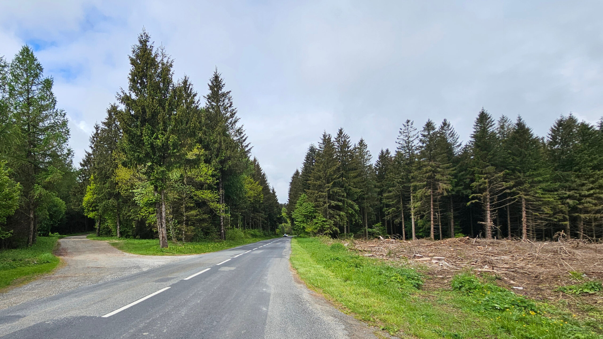 Le panneau routier du Col de Poulzinières indiquant 1047 mètres d'altitude, en bordure d'une forêt de sapins exploitée.